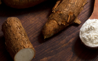 What is Cassava Starch ? How to replace Cassava starch ?